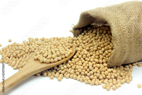 Raw soy beans, fresh and organic food, rustic bag inside isolated on white background