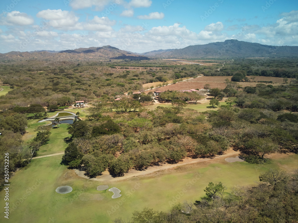 Fototapeta premium Green golf course