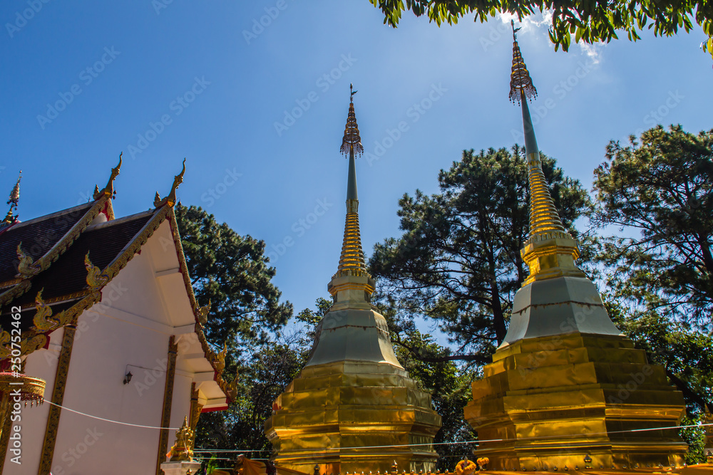 Fototapeta premium Beautiful golden pagodas at Wat Phra That Doi Tung, Chiang Rai. Wat Phra That Doi Tung comprises of a twin Lanna-style stupas, one of which is believed to contain the left collarbone of Lord Buddha.
