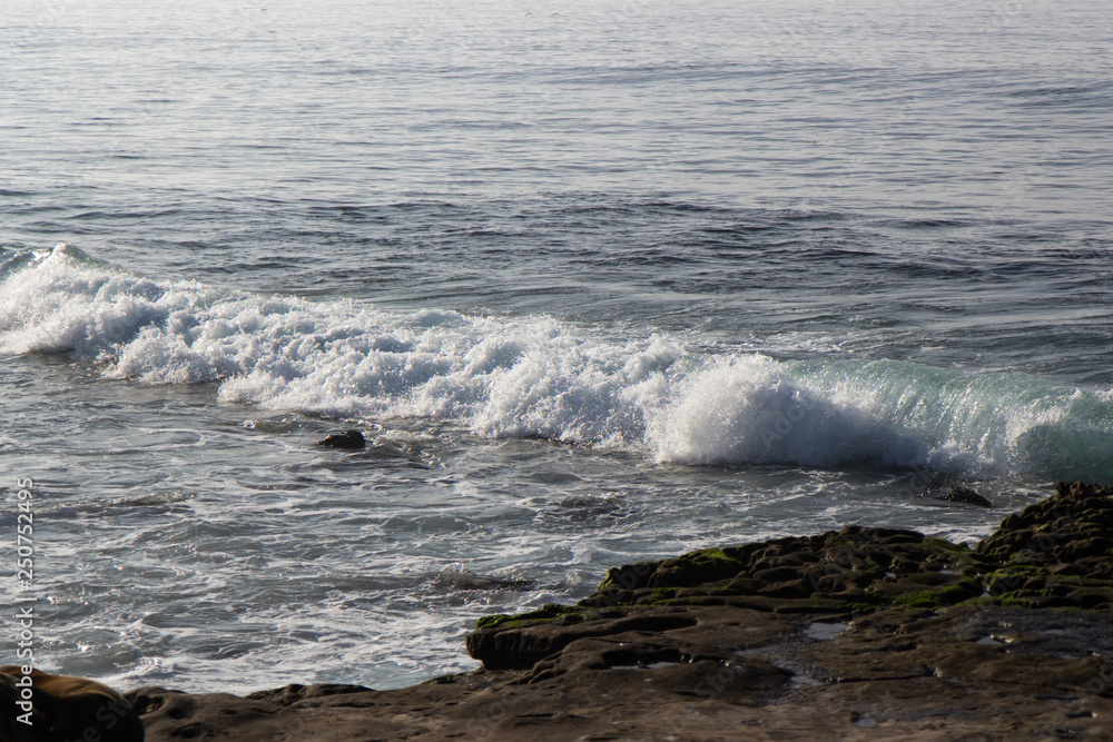 Fototapeta premium La Jolla Cove 