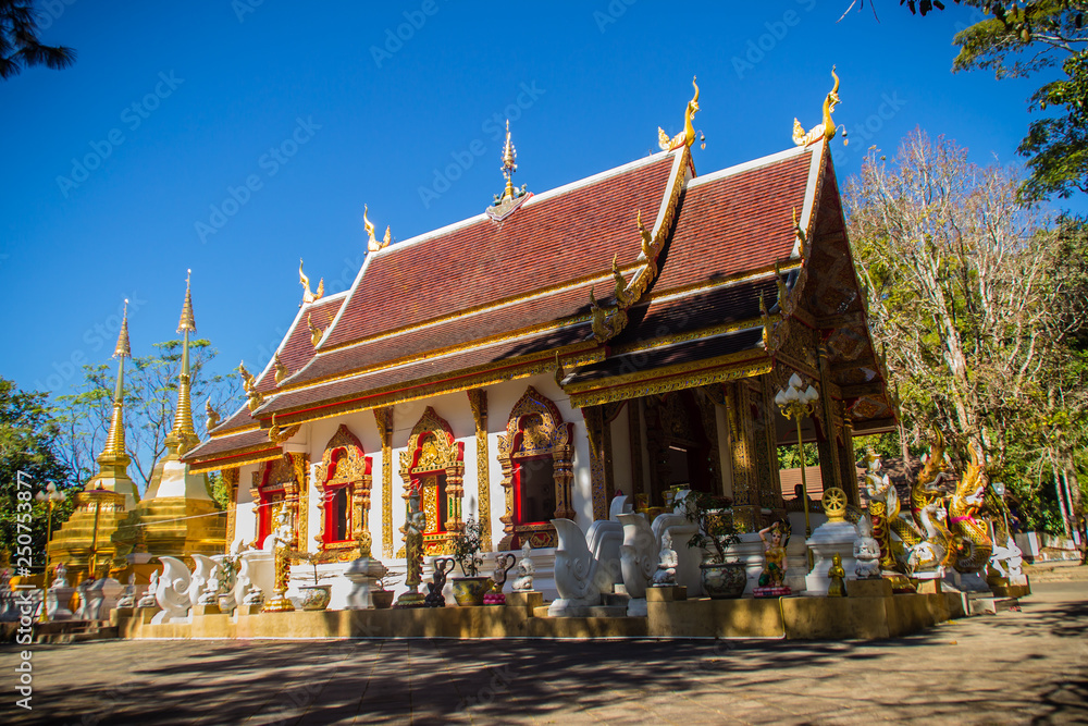 Beautiful golden pagodas at Wat Phra That Doi Tung, Chiang Rai. Wat Phra That Doi Tung comprises of a twin Lanna-style stupas, one of which is believed to contain the left collarbone of Lord Buddha.