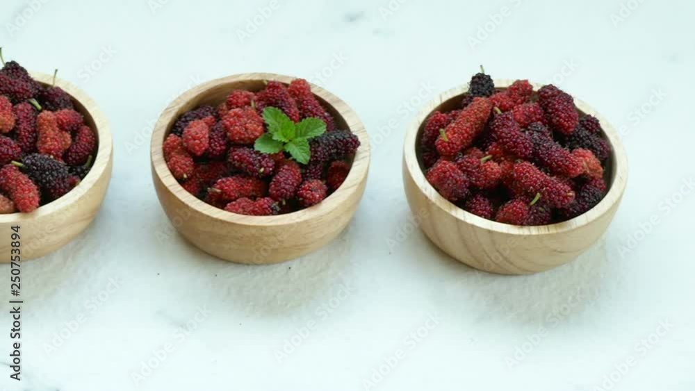 Close up Mulberry Close up Mulberry