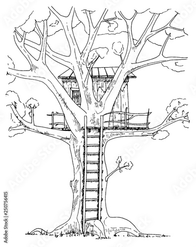 Tree house. House on tree for kids. Children playground ladder. Flat style vector illustration