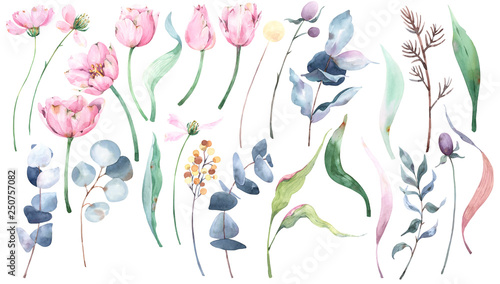Set of hand painted watercolor illustrations with flowers, tulips, eucalyptus brunches, leaves, wild flowers for textile, paper crafts and design