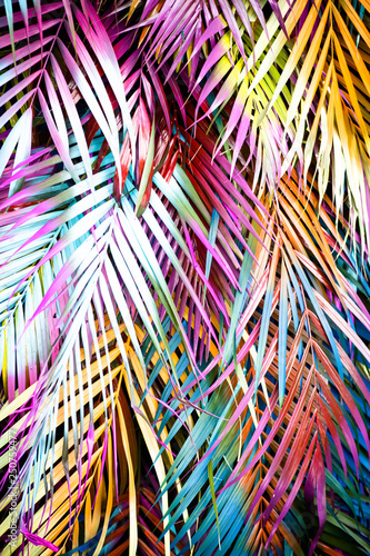 Beautiful, many colorful palm leaves forming a background