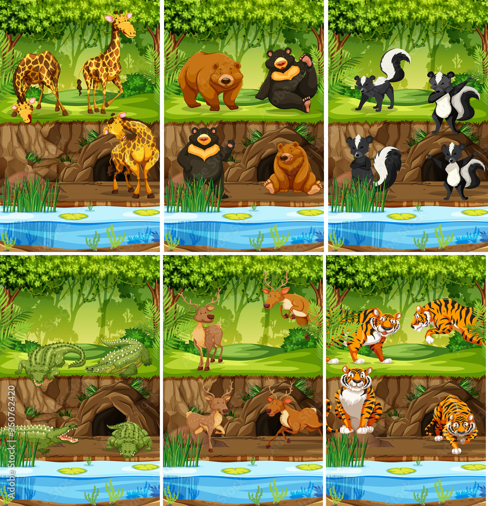 Obraz premium Large set of animals in jungle