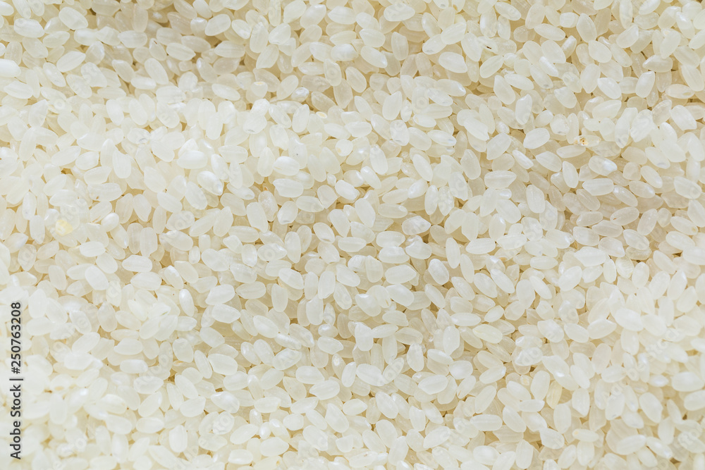 texture of short rice japan uncooked. high magnification texture of short rice japan uncooked. high magnification