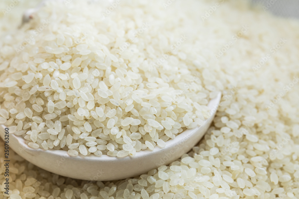texture of short rice japan uncooked. high magnification texture of short rice japan uncooked. high magnification