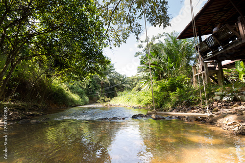 Swings along the stream of waterfalls in Thailand