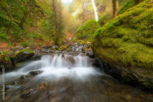 Φωτογραφία Cascading Waterfall at Starvation Creek State Park