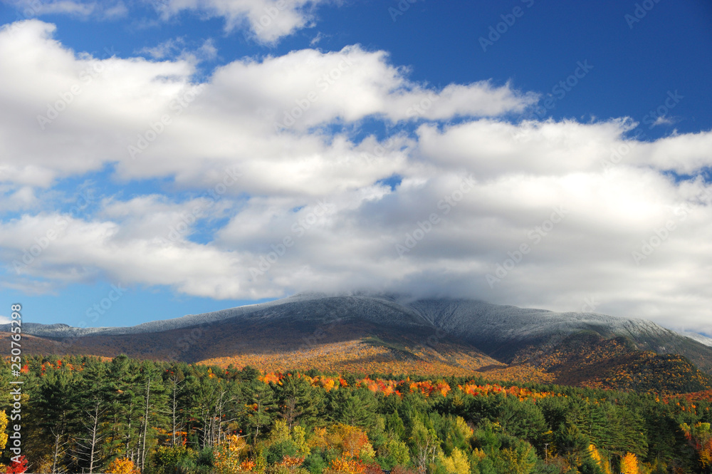 autumn mountain and colorful forest