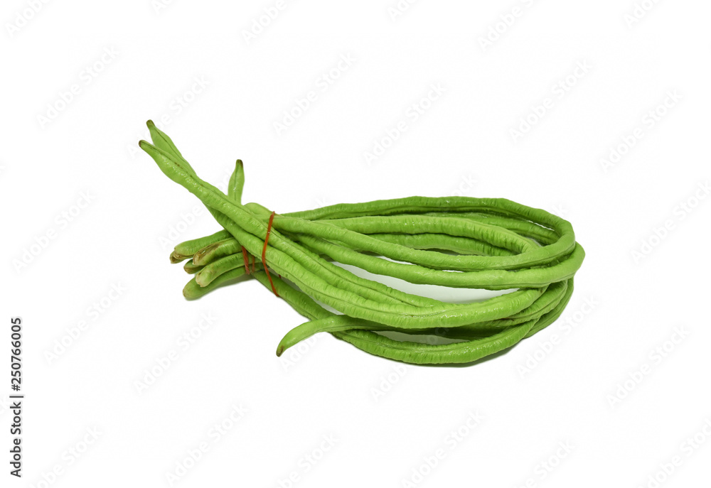 yardlong bean isolated on white background / cow pea yardlong bean isolated on white background / cow pea