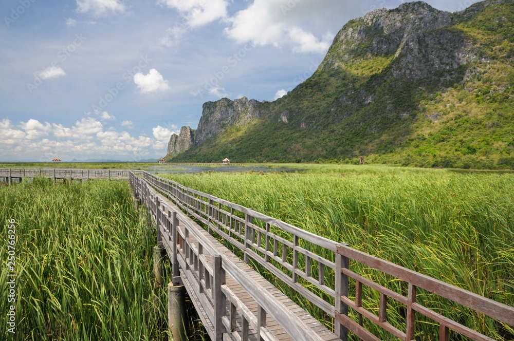 Wooden walkway through wetlands and swamp covered with water lily and reed at the foot of the mountain in Khao Sam Roi Yot National Park in Thailand