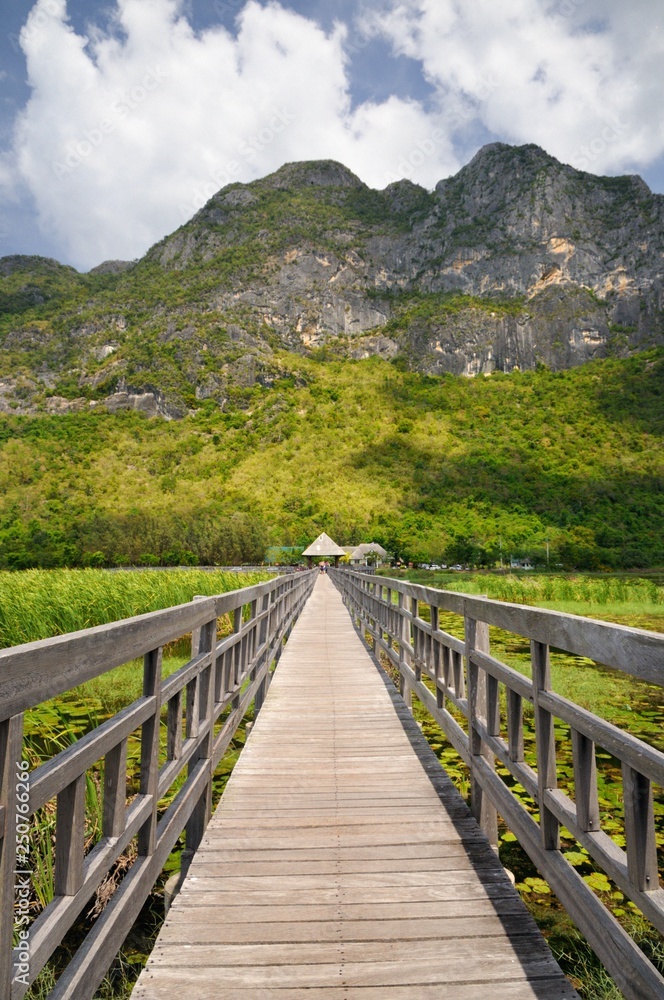 Wooden walkway through wetlands and swamp covered with water lily and reed at the foot of the mountain in Khao Sam Roi Yot National Park in Thailand Wooden walkway through wetlands and swamp covered with water lily and reed at the foot of the mountain in Khao Sam Roi Yot National Park in Thailand