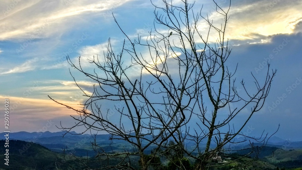 Fototapeta premium Lonely bird on the mountain