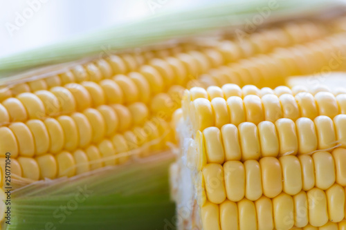 close-up fresh corn