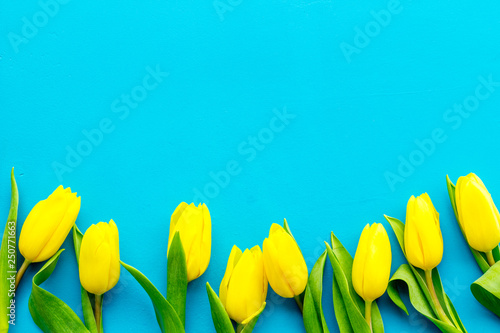 Spring flowers. Yellow tulips on blue background top view space for text border