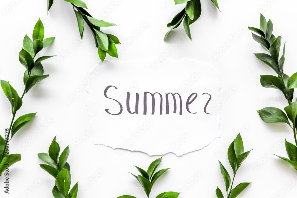 Summer concept. Hand lettering text summer near green leaves and branches on white background top view