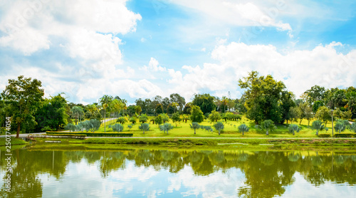 Green pond in the park summer landscape lake with palm tree garden and blue sky background