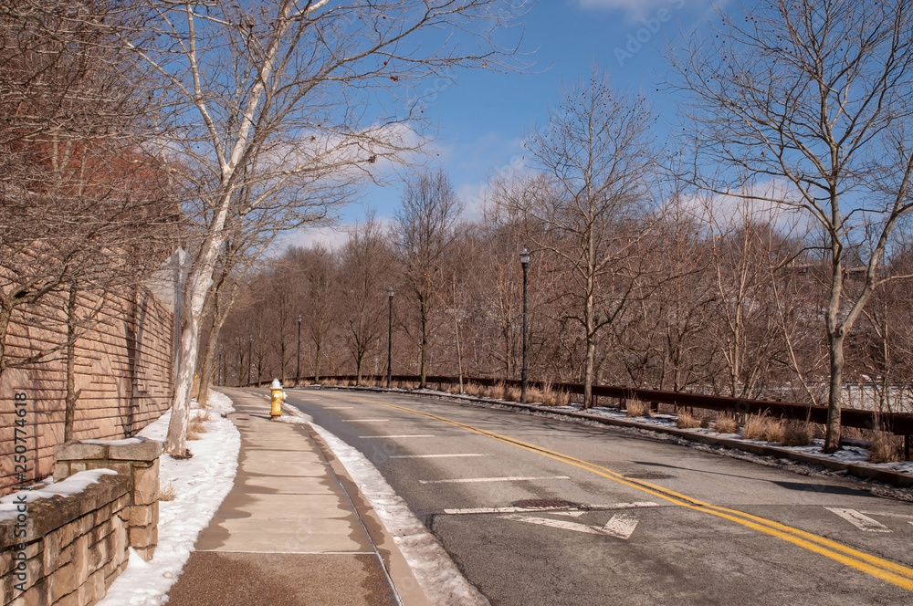 A street in Pittsburgh, Pennsylvania, USA in winter with snow in the trees lining it A street in Pittsburgh, Pennsylvania, USA in winter with snow in the trees lining it
