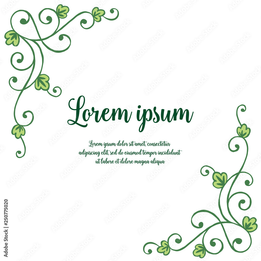 Vector illustration lettering lorem ipsum with flower frame picture hand drawn