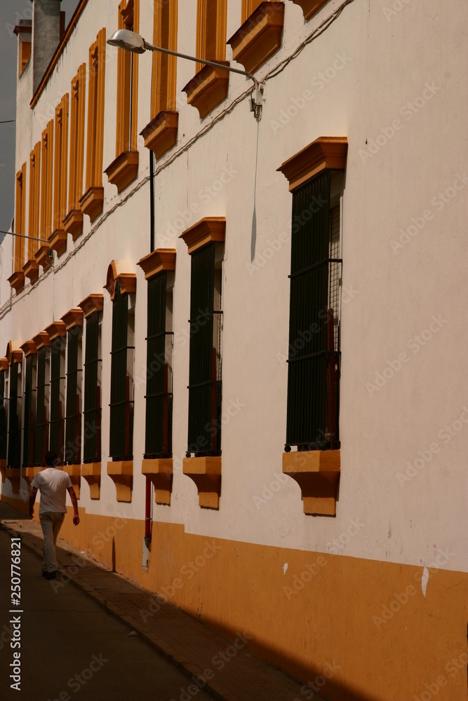 Fototapeta premium Typical street in Andalusia. Seville.Spain