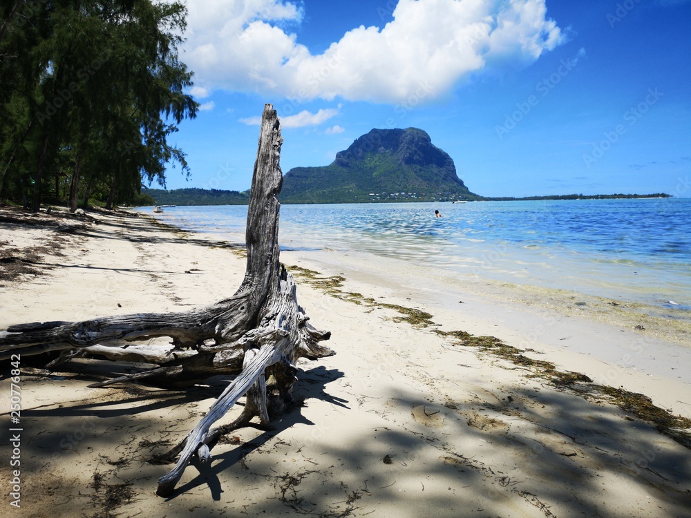 gestrandet auf Robinson Crusoe Insel