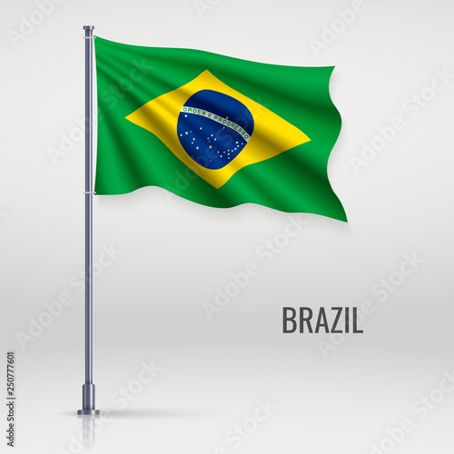 Waving flag  on flagpole.