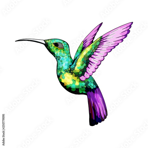 Small hummingbird. Exotic tropical colibri animal icon. Golden emerald feathers