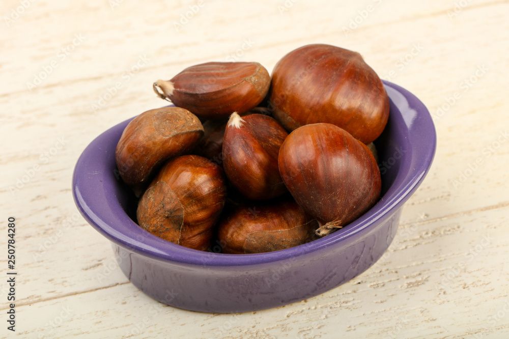 Obraz premium Chestnut