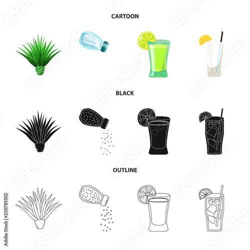 Vector illustration of cafe and Latin symbol. Collection of cafe and national stock vector illustration.