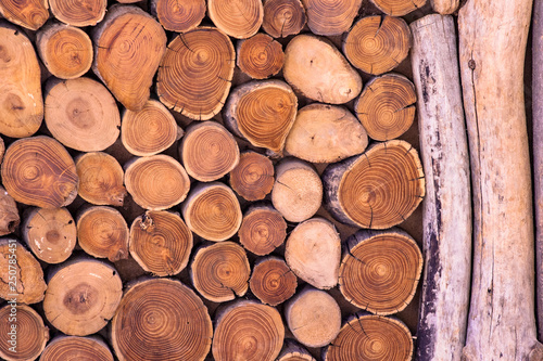 Natural wooden logs cut