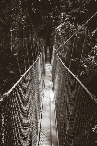 Fototapeta Naklejka Na Ścianę i Meble -  Suspension bridge, Taman Negara national park, Malaysia