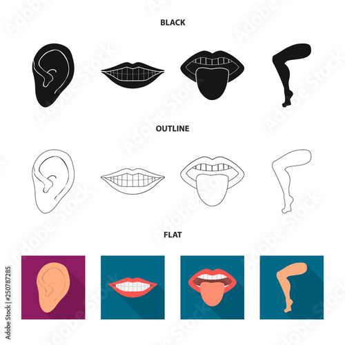 Isolated object of body and part icon. Collection of body and anatomy vector icon for stock.