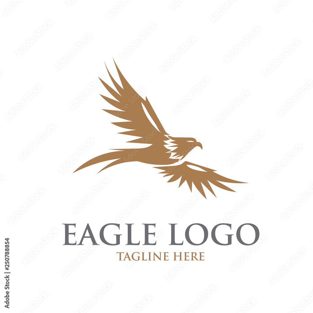 Obraz premium eagle logo designs simple elegant