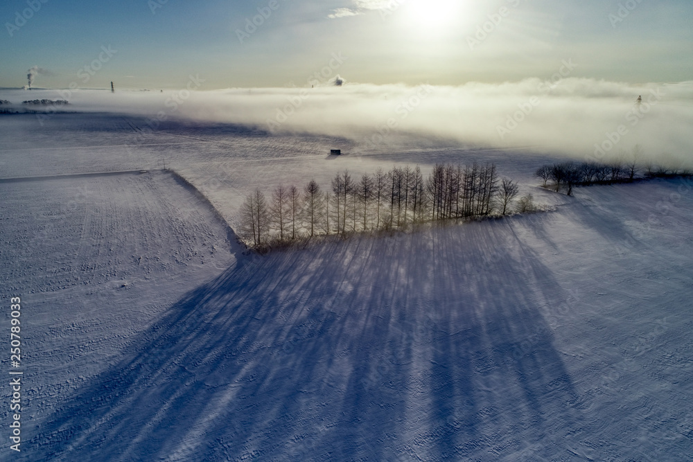 Obraz premium 雲海の空撮