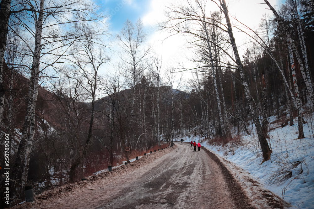 Obraz premium road in winter forest