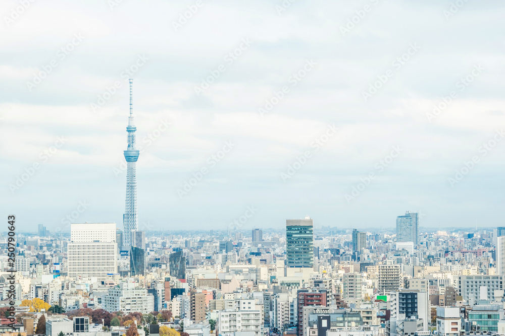panoramic city skyline view in Tokyo, Japan