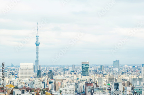 panoramic city skyline view in Tokyo, Japan © voyata