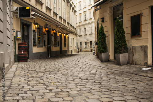 Fototapeta Naklejka Na Ścianę i Meble -  Small street in Wien, Austria