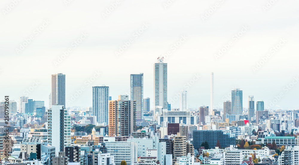 panoramic city skyline view in Tokyo, Japan
