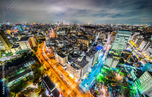 panoramic city skyline night view in Tokyo, Japan