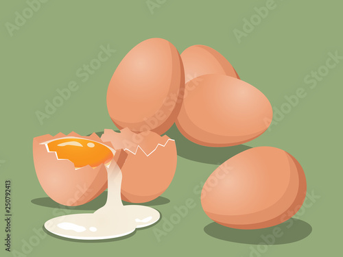 A group of fresh chicken eggs with cracked eggs on green color background. Vector illustration.