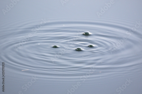 bolle sull'acqua
