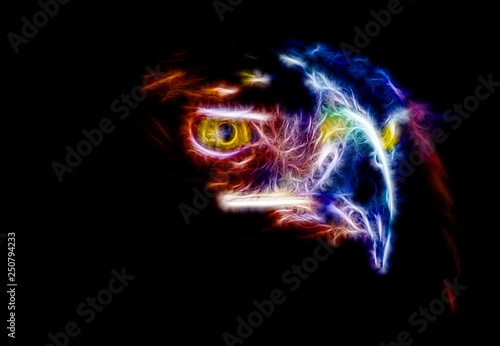 Fractal color portrait of a large wild eagle on a contrasting black background