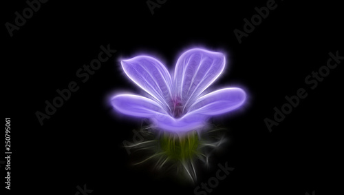 Fototapeta Naklejka Na Ścianę i Meble -  Fractal image of a delicate purple flower on a contrasting black background