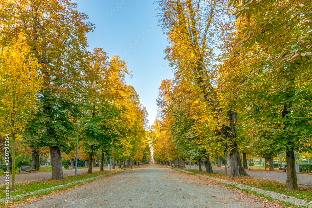 Cluj-Napoca Central Park on a beautiful autumn sunny day in Romania