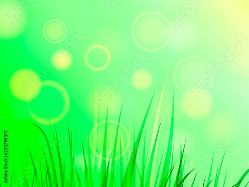 Summer or spring glade with green grass. Space for text. Vector illustration