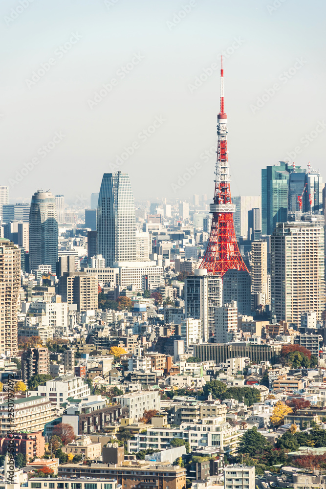 city skyline aerial view of tokyo tower in Japan