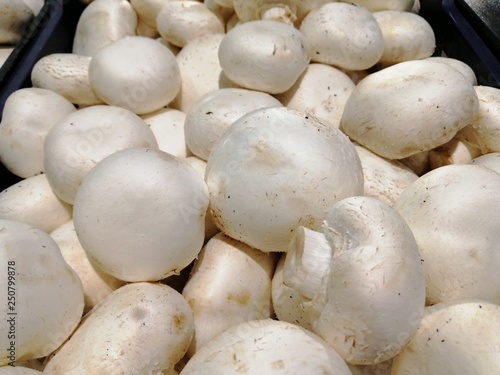 white champignons